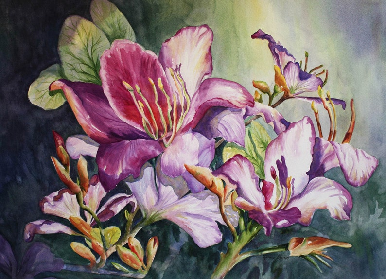 Magnolia, Bougainvilleas, Orchids, Hibiscus 6 Choices, Watercolor Print 11x14,Tropical, RTobaison Home Decor image 1