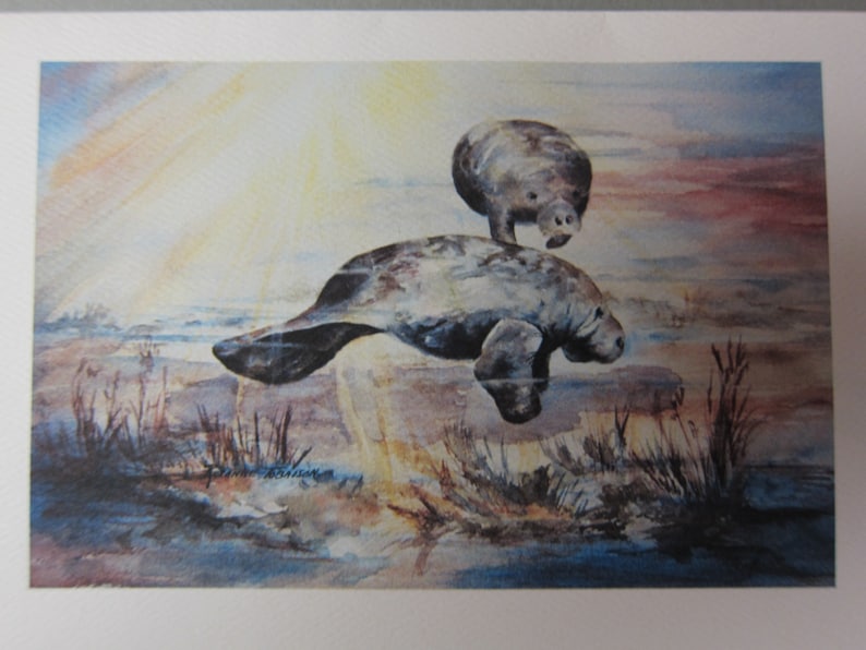 5 Note cards Manatee Variety 5 x 7 note card RTobaison WatercolorNmore Florida image 6