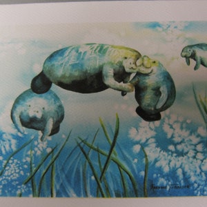 5 Note cards Manatee Variety 5 x 7 note card RTobaison WatercolorNmore Florida image 4
