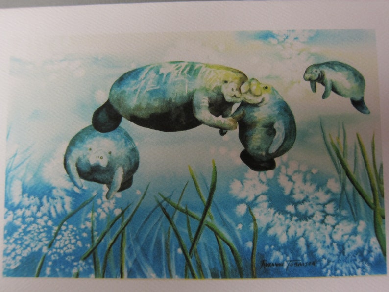 5 Note cards Manatee Variety 5 x 7 note card RTobaison WatercolorNmore Florida image 4