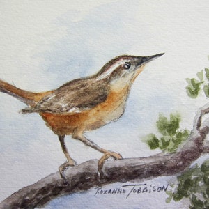 Hummingbirds, Cardinals & Carolina Wren Variety 3 set 5 x 7 note cards RTobaison WatercolorsNmore, song birds image 4