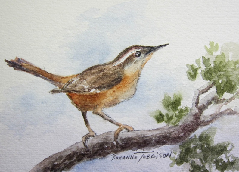 K&ouml;nnte beinhalten: Ein Aquarellbild eines braunen und wei&szlig;en Vogels, der auf einem Ast sitzt. Der Vogel schaut nach rechts und hat einen langen Schwanz. Der Ast ist braun und hat gr&uuml;ne Bl&auml;tter. Die Unterschrift des K&uuml;nstlers, "Roxanne Jobaison", befindet sich in der rechten unteren Ecke des Bildes.