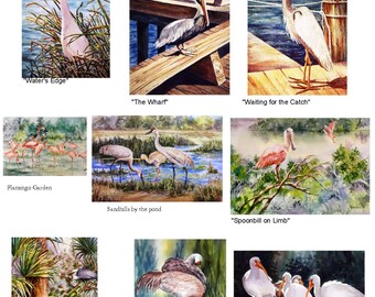 Birds of Florida - YOU Pick One 5x7 note card watercolor print  watercolorNmore handmade Your CHOICE