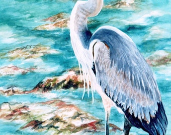 Great Blue Heron Fine Art Print 11x14 8x12 12x18  Watercolor print WatercolorsNmore Florida Bird Blue