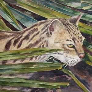 Könnte beinhalten: Ein Aquarellbild einer Wildkatze, möglicherweise ein Leopard, die sich in hohem grünem Gras versteckt. Das Fell der Katze ist braun und schwarz mit Streifen. Die Augen der Katze sind grün und sie schaut nach rechts. Die Nase der Katze ist rosa und sie hat weiße Schnurrhaare.