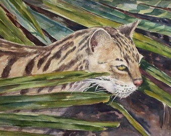 May include: A watercolour painting of a wild cat, possibly a leopard, hiding in tall green grass. The cat's fur is brown and black with stripes. The cat's eyes are green and it is looking to the right. The cat's nose is pink and it has white whiskers.