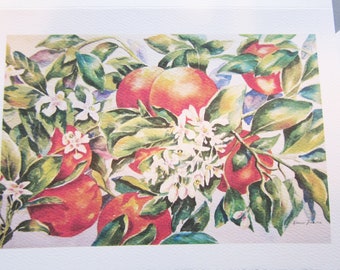 Florida Oranges 5 x 7 note card watercolor print frameable art greeting card handmade watercolorsNmore