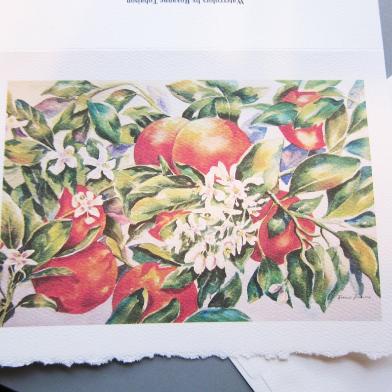 May include: Watercolor painting of a citrus tree branch with green leaves, white blossoms, and ripe orange fruit. The oranges are a vibrant orange color and the leaves are a deep green. The painting is done in a realistic style.