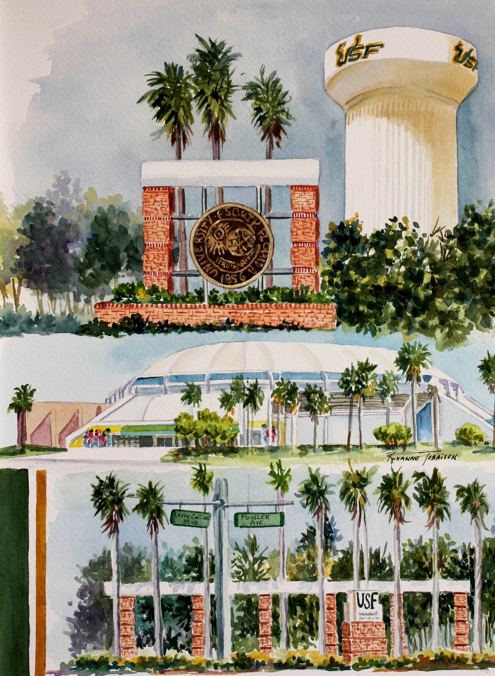 Usf Graduation Map University of South Florida USF Graduation Watercolor Print or Note ...