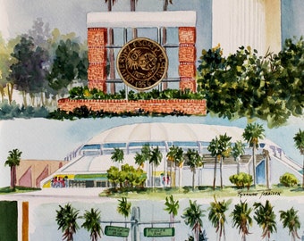 University of South Florida USF Graduation Watercolor Print or Note Card @RTobaison