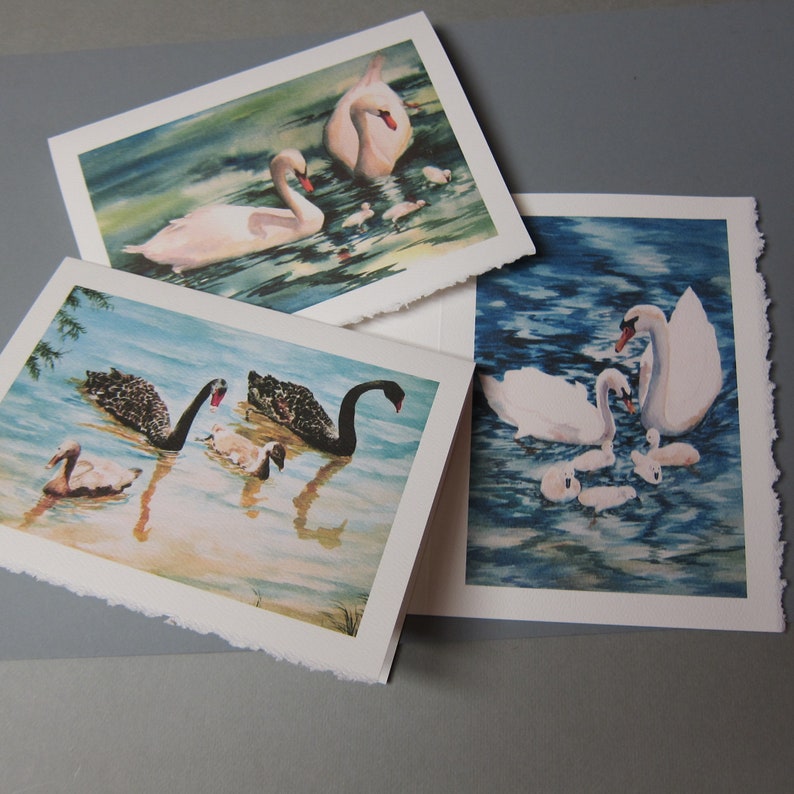 Swans 3 Assorted Note Cards 5 x 7 Note cards Watercolor print image 0