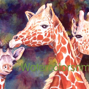 Aquarelle, girafes, impression d'art Roxanne Tobaison, 8 x 10 ou 11 x 14 cm, girafe du zoo d'Afrique, art décoratif, animaux, aquarellesNplus