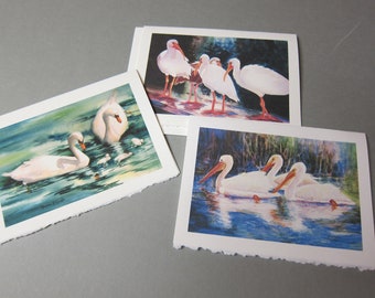 White Birds Variety 3 Note cards 5 x 7 Swan, pelican, Ibis Blank watercolor print watercolorsNmore