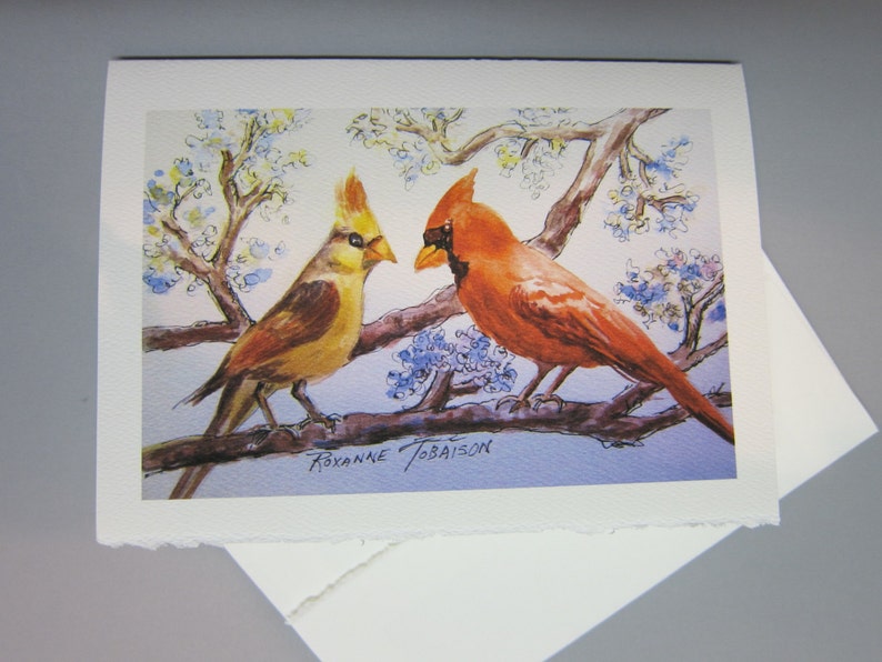 Hummingbirds, Cardinals & Carolina Wren Variety 3 set 5 x 7 note cards RTobaison WatercolorsNmore, song birds image 5