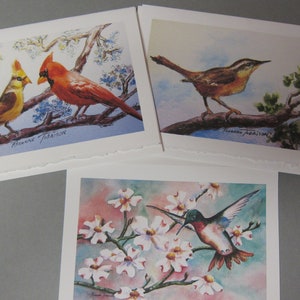 Colibríes, cardenales y Carolina Wren Variedad 3 set 5 x 7 tarjetas de notas RTobaison WatercolorsNmore, pájaros cantores imagen 1