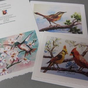 K&ouml;nnte beinhalten: Vier Aquarelle von V&ouml;geln auf &Auml;sten. Das erste Bild zeigt einen Kolibri mit roten und gr&uuml;nen Federn, der in der N&auml;he von wei&szlig;en Bl&uuml;ten fliegt. Das zweite Bild zeigt einen braunen Vogel mit langem Schwanz, der auf einem Ast sitzt. Das dritte Bild zeigt einen gelben Vogel mit roter Haube, der auf einem Ast sitzt. Das vierte Bild zeigt einen roten Kardinal, der auf einem Ast sitzt.
