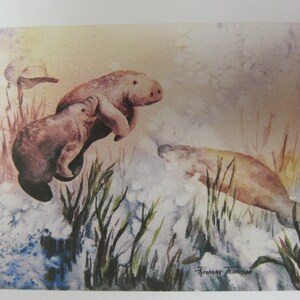 5 Note cards Manatee Variety 5 x 7 note card RTobaison WatercolorNmore Florida image 3