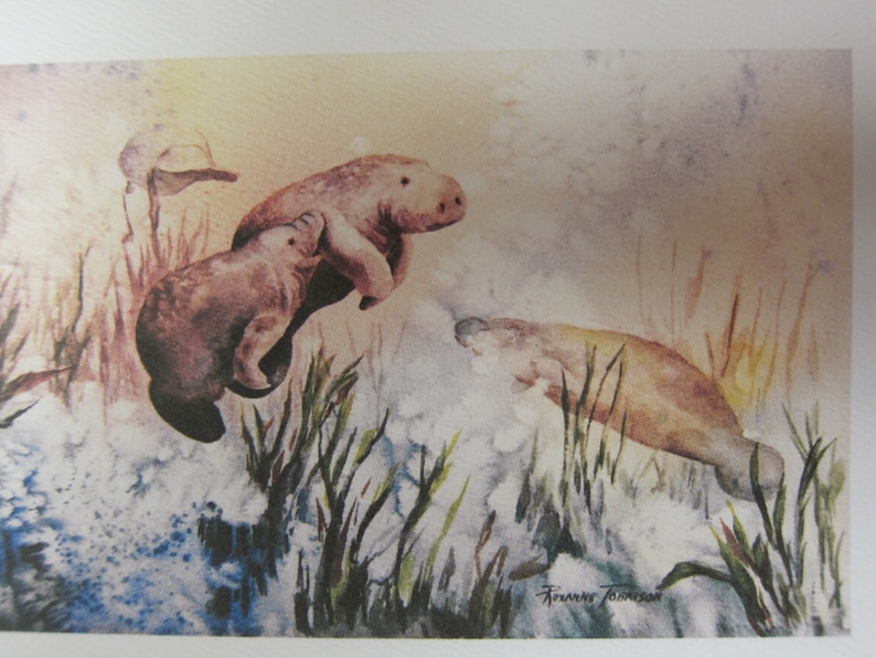 5 Note cards Manatee Variety 5 x 7 note card RTobaison WatercolorNmore Florida image 3