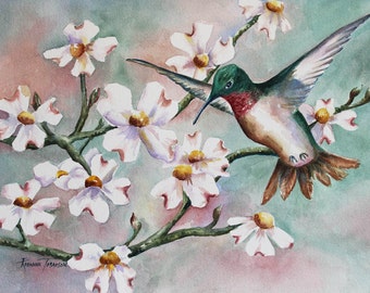 Hummingbird & Dogwoods  5 x 7 Note Card Greeting 8 x 10 watercolor print