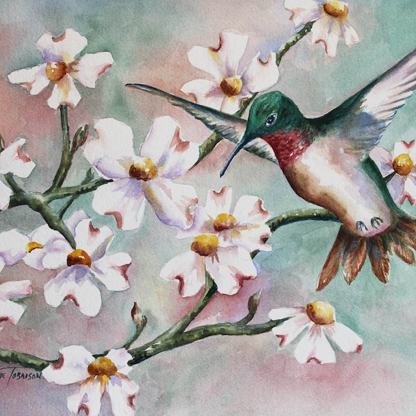 Hummingbird & Dogwoods  5 x 7 Note Card Greeting 8 x 10 watercolor print