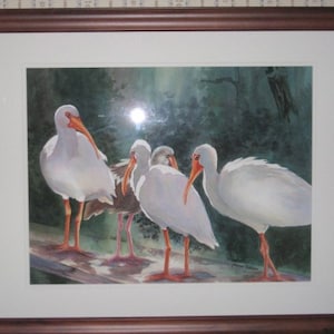 May include: A watercolor painting of four white birds with orange beaks standing on a wooden surface. The birds are in a forest setting with green foliage and a blue sky in the background.