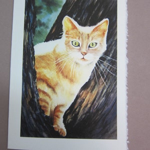 Cat Tabby Watercolor print 5 x 7 note card watercolorsNmore greeting card paper goods image 1