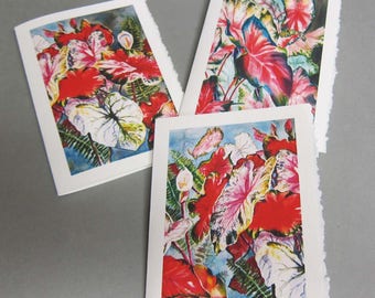3 Caladium Variety 5 x 7 Note card Blank Greeting Card Vertical Images Caladium bulbs Flowers