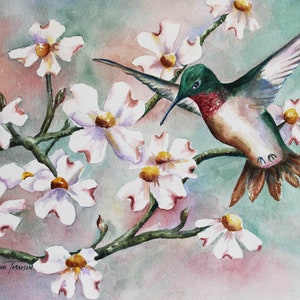 Hummingbirds, Cardinals & Carolina Wren Variety 3 set 5 x 7 note cards RTobaison WatercolorsNmore, song birds image 2