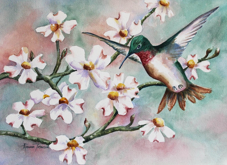 K&ouml;nnte beinhalten: Ein Aquarellbild eines Kolibris im Flug, mit ausgestrecktem Schnabel, der in der N&auml;he eines Zweigs mit wei&szlig;en Bl&uuml;ten des Blumenhartriegels schwebt. Der Kolibri hat einen gr&uuml;nen Kopf, einen roten Hals und braune Schwanzfedern. Die Bl&uuml;ten des Blumenhartriegels sind zart und haben einen gelben Mittelpunkt.
