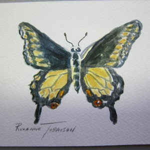 Original Butterfly 4 x 6 Watercolor paintings @RTobaison @watercolorsnmore