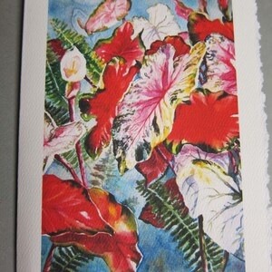 3 Caladium Variety 5 x 7 Note card Blank Greeting Card Vertical Images Caladium bulbs Flowers image 4