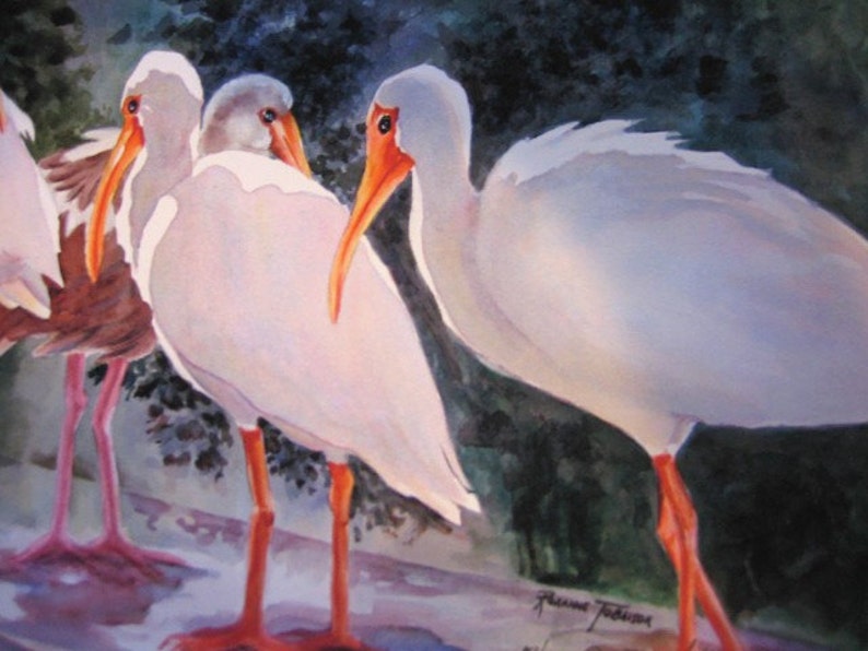 May include: A watercolor painting of four white ibis birds standing on a wooden surface. The birds have long, thin legs and beaks. The background is a dark green.