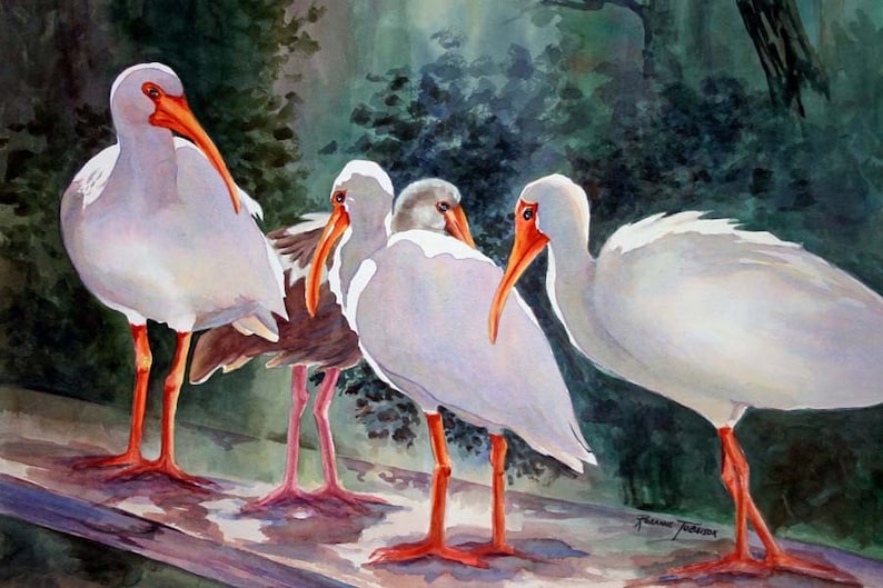 May include: A watercolor painting of four white ibis birds with orange beaks and legs standing on a wooden surface. The birds are in a forest setting with green foliage in the background.