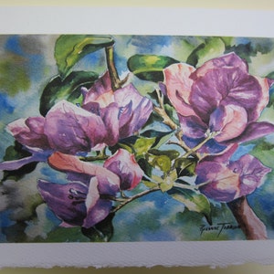 May include: Watercolor painting of pink bougainvillea flowers with green leaves. The flowers are in full bloom and have a delicate, feminine appearance. The painting is signed by the artist, "Susanne Traub"