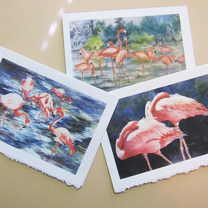 Flamingo flamingo art, watercolor prints, set of 3 Note Cards handmade RTobaison tropical birds image 2