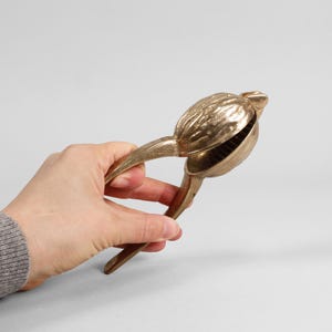Op de afbeelding: Een messing notenkraker in de vorm van een gestileerde noot. De notenkraker wordt opengehouden, waardoor de binnenkant zichtbaar is. De handvatten en de nootvormige kop hebben een bijpassende goudkleur. De achtergrond is effen, neutraal grijs.