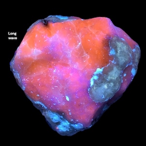 May include: A rough, irregular mineral specimen displaying intense fluorescent properties under long wave ultraviolet light. The surface exhibits vibrant patches of neon orange and bright pink, contrasted by areas of muted grey and blue-white.