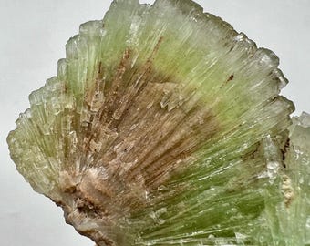 May include: A close-up of a green and brown mineral specimen. The crystal formation has a radiating, fan-like structure with a mix of translucent and opaque sections. The color transitions from light green to a brownish hue.