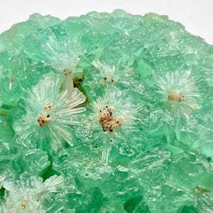 May include: A close-up of a green fluorite crystal with white, star-shaped formations. The crystal has a rough, textured surface.