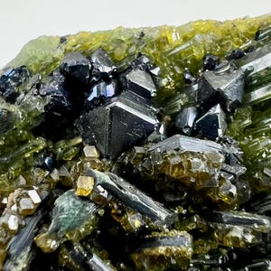 Espécime de magnetita extremamente rara de 64 gramas com cristais de diópsido, topazolita e clinocloro em matriz - Afeganistão