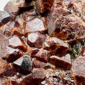 Amas de cristaux de grenat andradite rouge naturel 221 g Spécimen minéral de pierres précieuses d&#39;Afghanistan sur matrice