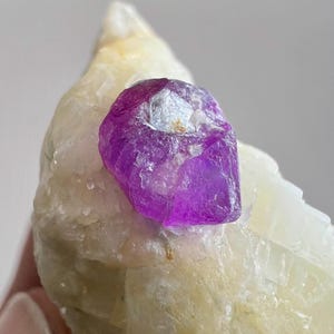 Può includere: Primo piano di una formazione cristallina naturale grezza. Un cristallo viola intenso e vibrante è posto su uno sfondo di minerale bianco crema e giallo pallido. Il cristallo ha una superficie ruvida e strutturata.