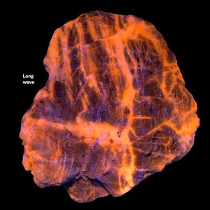 Op de afbeelding: Een ruw mineraal exemplaar dat intense oranje fluorescentie vertoont onder langgolvig ultraviolet licht. De steen heeft een complex netwerk van heldere oranje aders tegen een donkere, getextureerde achtergrond, met de tekst Long wave zichtbaar.