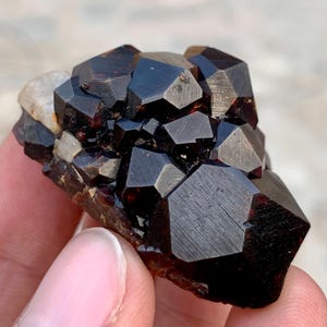 Pode incluir: Um aglomerado de cristais de granada castanho-avermelhados escuros. Os cristais têm uma aparência brilhante e facetada, com bordas afiadas e formas geométricas. O espécime mineral é segurado em uma mão, mostrando sua beleza natural.