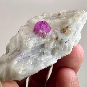 以下が含まれることがあります： 中央に鮮やかなフクシア色の結晶が埋め込まれた、ざらざらとした白い鉱物標本。結晶はカットされており、光を捉え、質感のある不透明な背景と対照的です。他の鉱物の小さな斑点も見えます。
