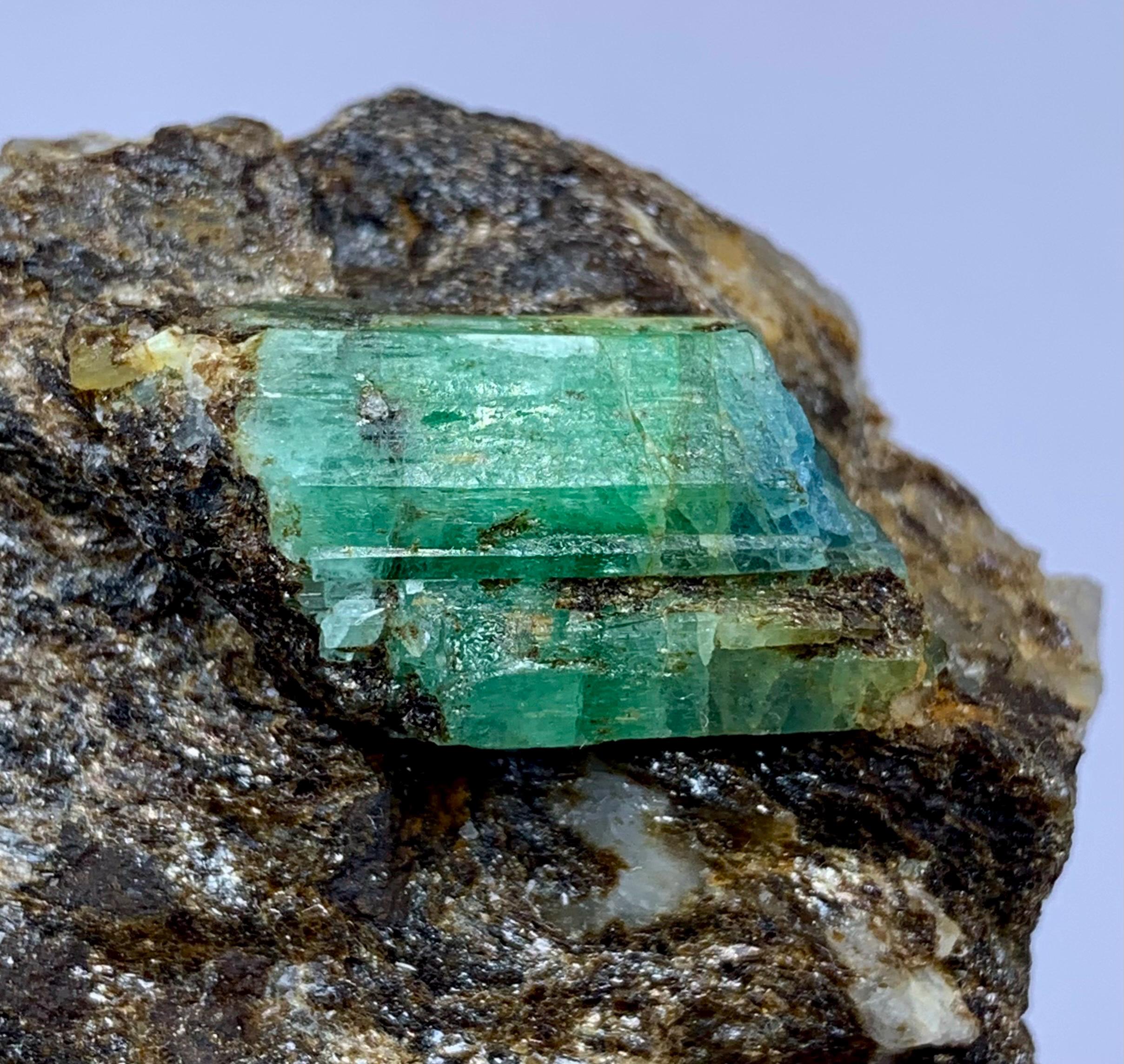 希少！アンドラダイトガーネット母岩付巨大クリスタル RoyalmineralsStore - Etsy 日本