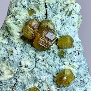 May include: Close-up of a mineral specimen featuring several golden-yellow, geometrically shaped crystals. The crystals are clustered on a light blue-green matrix with a textured surface. The crystals have a reflective, glassy appearance.