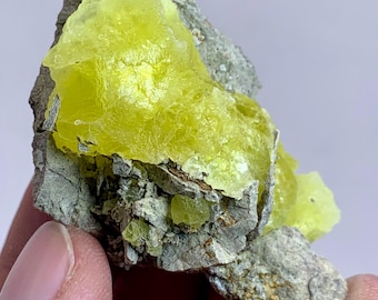 May include: A close-up of a rough, natural sulfur specimen. The bright yellow sulfur crystals are layered on a gray, textured rock matrix. The specimen is held in a person's hand.