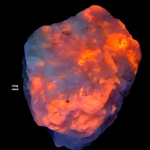 May include: A rough mineral specimen exhibiting strong fluorescence under long wave ultraviolet light. The rock displays a crystalline structure with vibrant patches of glowing orange and red against a pale blue and white background.