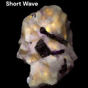 52 Gm Fluorescent Tourmaline Crystal on Matrix with Apatite Inclusions – UV Reactive Mineral Specime- Pakistan